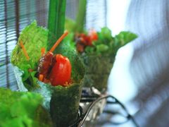 露雨飘香素手卷-菩提素素食餐厅(晶郦馆店)