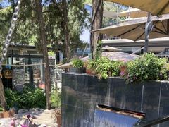 -蘇河湾·新鲁菜·泰山宴(泰山店)