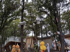 -沂蒙山旅游区云蒙景区(蒙山国家森林公园)