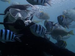 -三亚蜈支洲岛旅游区