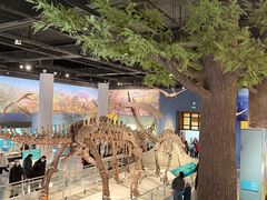 -国家自然博物馆