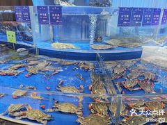 -天顺渔港·海景餐厅(星海广场店)