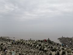 -南汇嘴观海公园