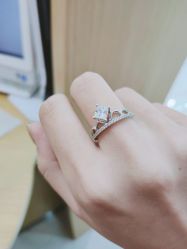 -钻石小鸟钻戒婚戒定制(石路店)
