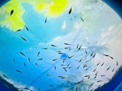 -欢乐海岸海洋奇梦馆