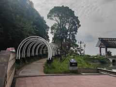 -铁山坪森林公园