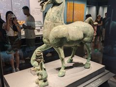 -广西壮族自治区博物馆