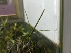 -上海昆虫博物馆