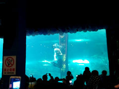 android_upload_pic-洛阳龙门海洋馆