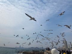 -星海广场