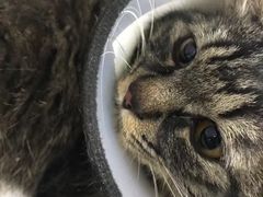 -天津前进宠物医院(前进道店)