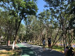 -回龙观体育文化公园