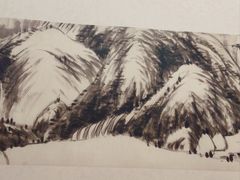 -八大山人梅湖景区