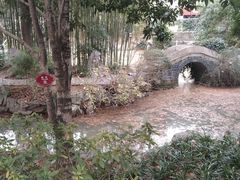 -汇龙潭