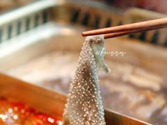 -九鼎轩脆毛肚火锅(三钢里店)