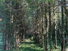 -山王坪喀斯特国家生态公园