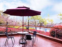 -高东镇樱花园