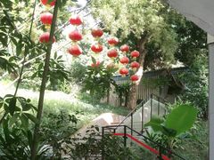 -鹿鸣酒家(越秀店)