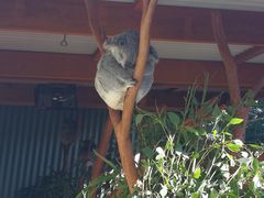 -费瑟代尔野生动物园