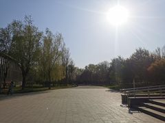 -望湖公园