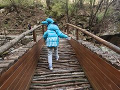 -青峰峡国家森林公园