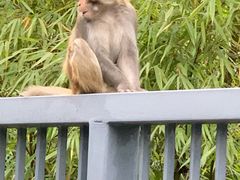 -海兰云天度假区温泉