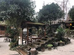 -青城甲(青城山店)