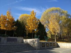 -玲珑塔公园