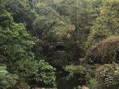 -大雁山风景区