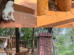 -南戴河国际娱乐中心