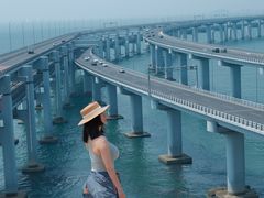 -星海湾跨海大桥