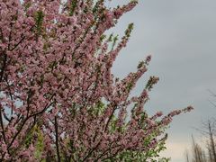 -眉山湿地公园(东坡区)