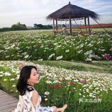 周末周边自驾游去哪？假装带你在国外～