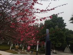-海兰云天度假区温泉