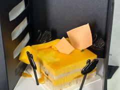 -BLACKSWAN黑天鹅(环球店)