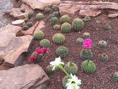 -南通洲际绿博园