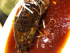 罾蹦鲤鱼-津菜宋记老房子(鼓楼店)