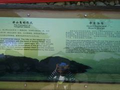 -洋山深水港