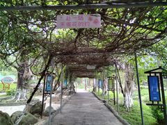 -牛鱼嘴原始生态风景区