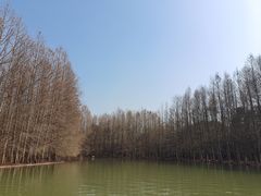 -上海海湾国家森林公园