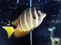 -邯郸海洋世界