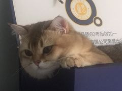 -美联众合动物医院·24h转诊中心