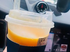 芒果卡士-春丽小马(济南恒隆广场店)