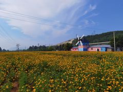 -大连铭湖国际观光牧场