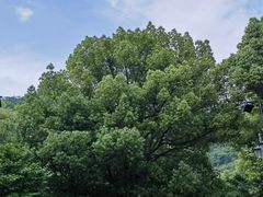 -余姚阳明温泉山庄