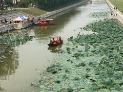 -赵州桥景区