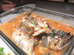 -佬肥猫(国华广场店)
