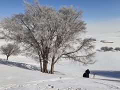 -塞罕坝国家级自然保护区
