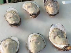 -南沙十九涌渔人码头-南门