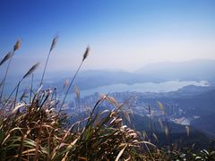 -梧桐山风景名胜区